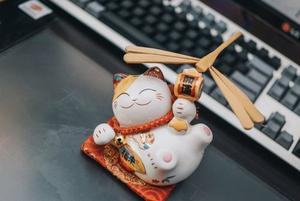 giấy phép Nohu
